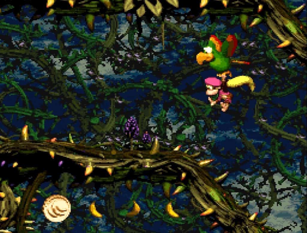 Donkey Kong Country 2 Brambles