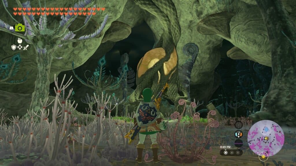 Screenshot of Link in the Depths from Zelda: Tears of the Kingdom